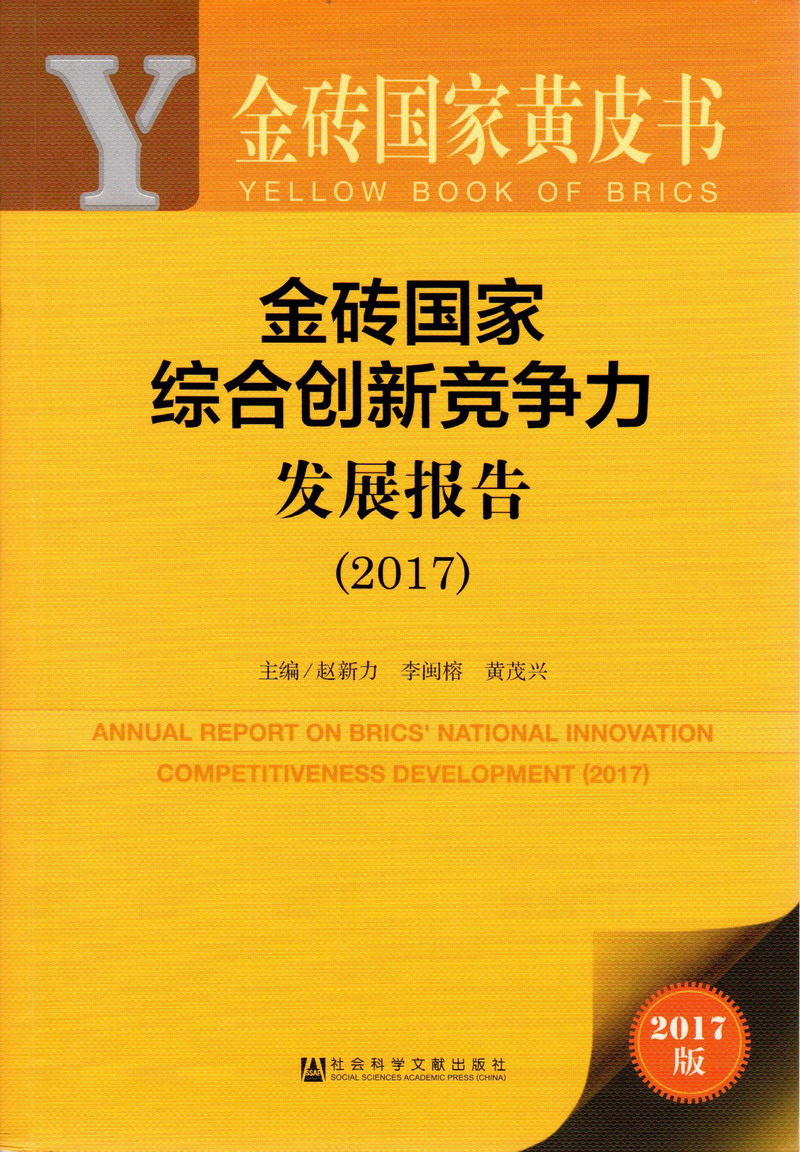 小鸡巴操逼一级片金砖国家综合创新竞争力发展报告（2017）